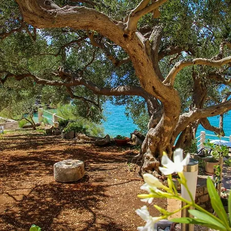 Jedra Beach Hvar